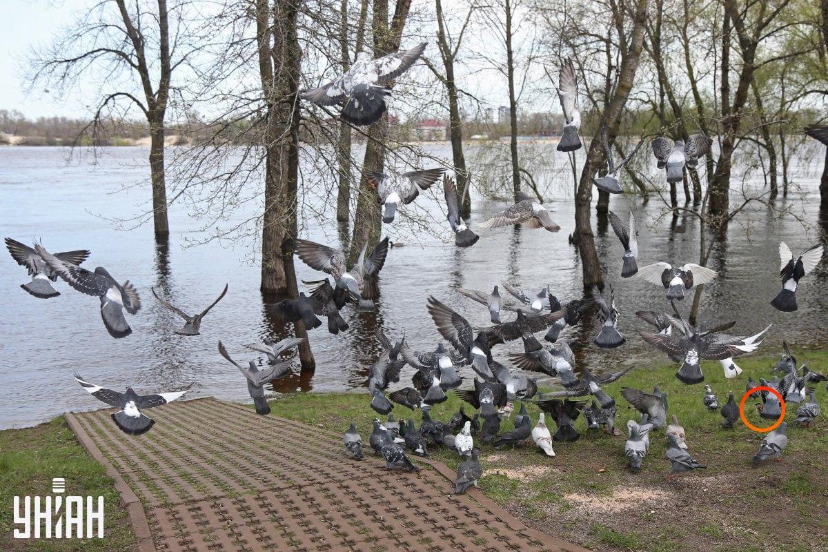 Fotografija Moje
