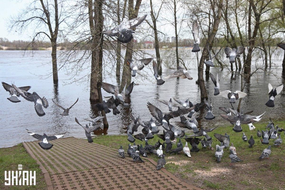 Fotografija Moje