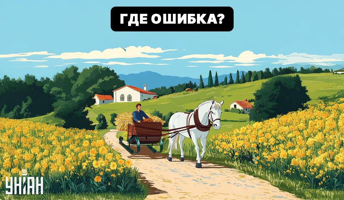 Kolaž Moje